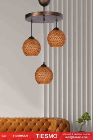 Pendant Light - T109HM200