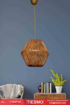 Pendant Light - T109SP144