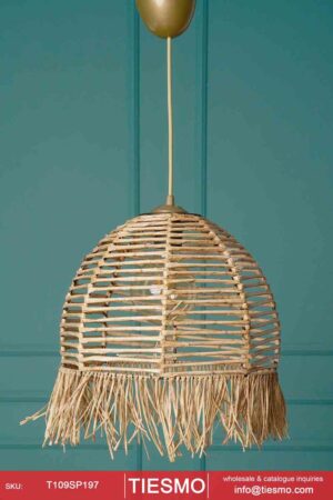 Pendant Light - T109SP197